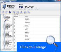 Screenshot of SQL Data Recovery Tool