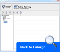 sql server bak file repair tool